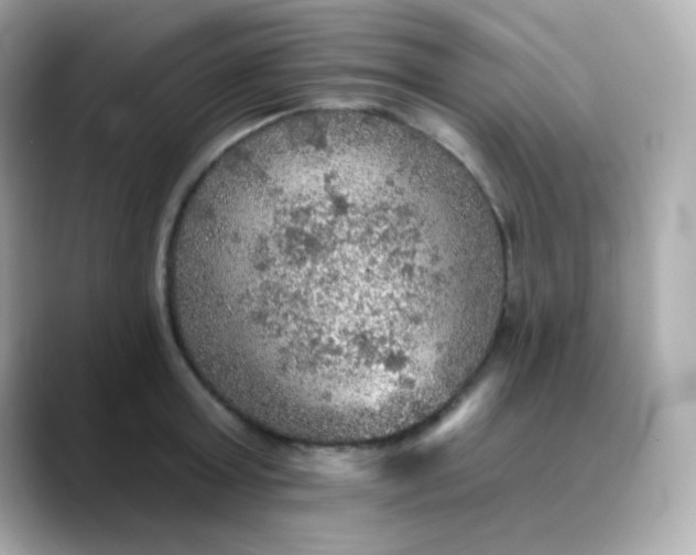 X0000088390803200706051116