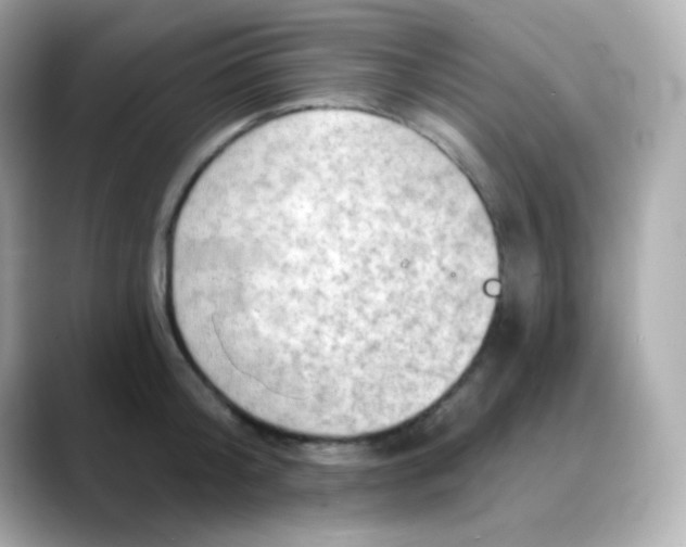 X0000088390804200706051116