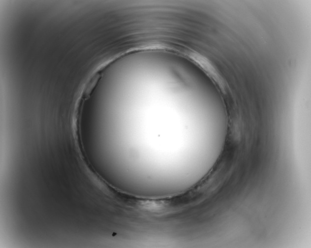 X0000088390805200706051116