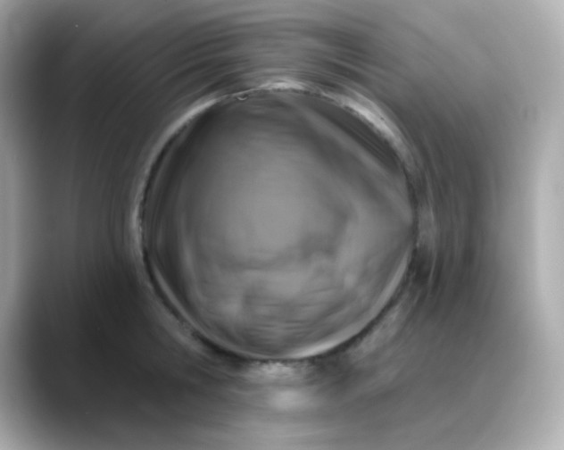 X0000088390806200706051116