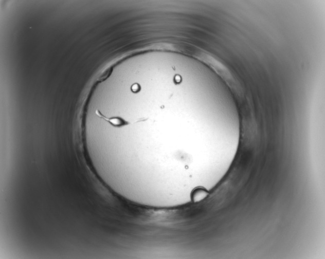 X0000088390808200706051116