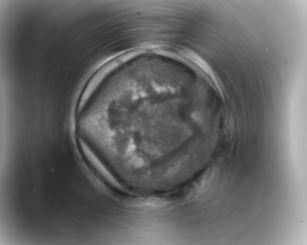 X0000088390811200706051116