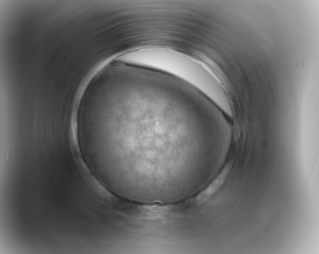 X0000088390812200706051116