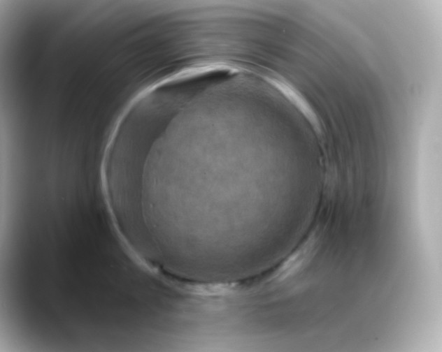 X0000088390813200706051116