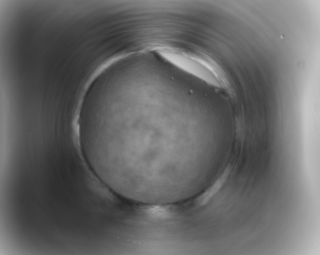 X0000088390814200706051116