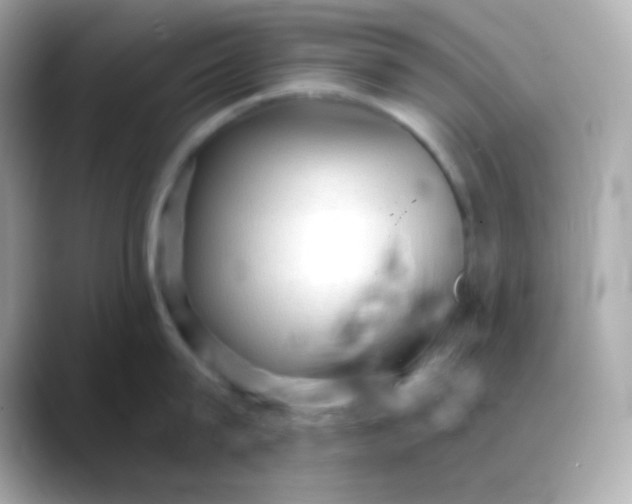 X0000088390815200706051116