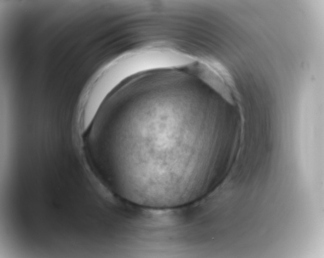 X0000088390816200706051116