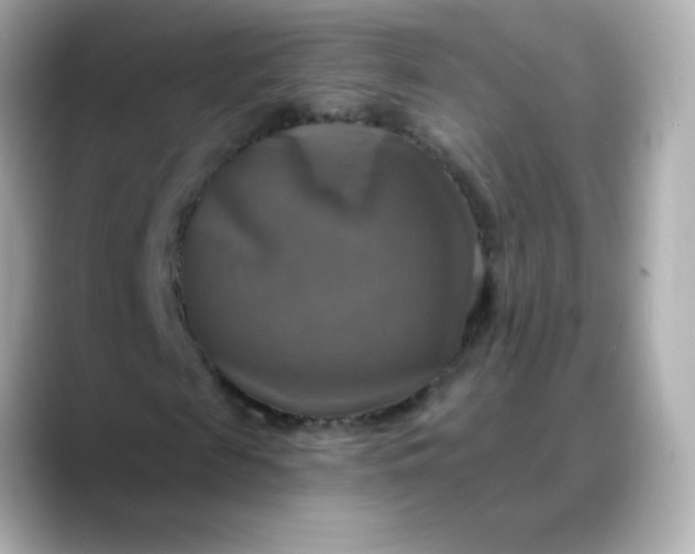 X0000088390817200706051116