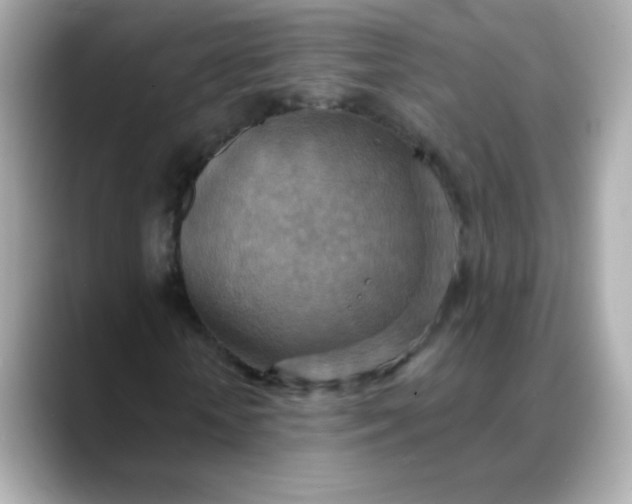 X0000088390818200706051116