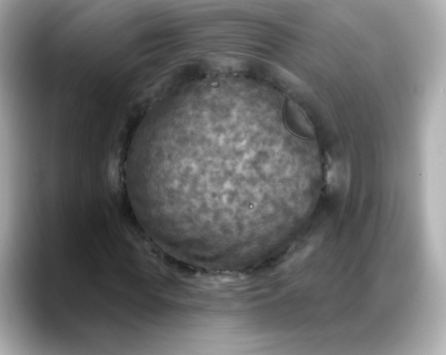 X0000088390819200706051116