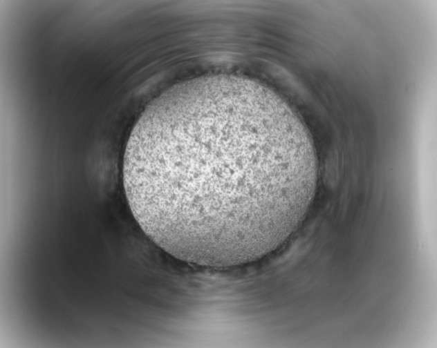 X0000088390821200706051116