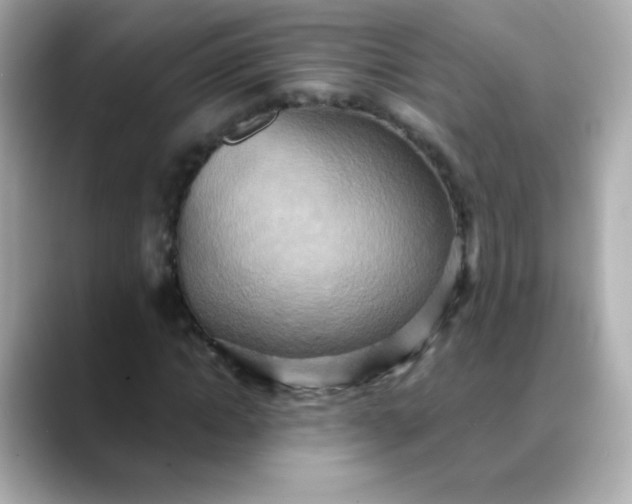 X0000088390822200706051116