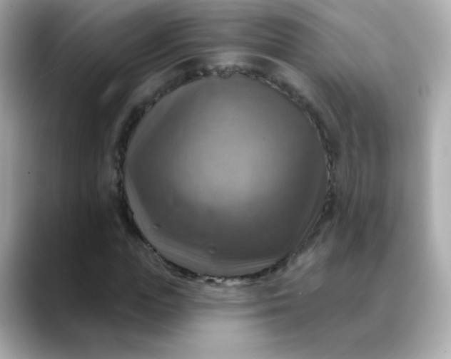 X0000088390823200706051116