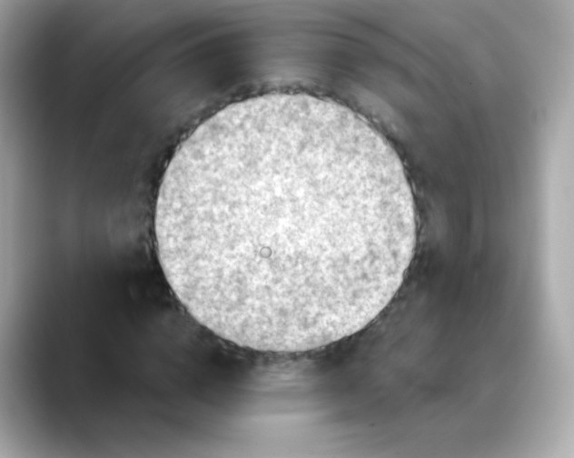 X0000088390824200706051116