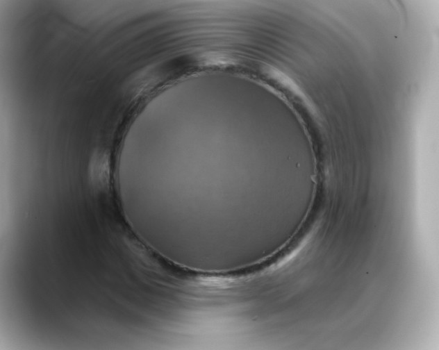 X0000088390825200706051116