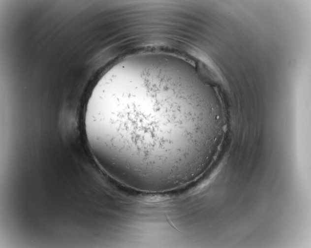 X0000088390826200706051116