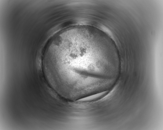 X0000088390827200706051116