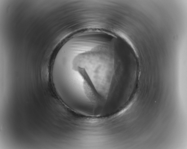 X0000088390829200706051116