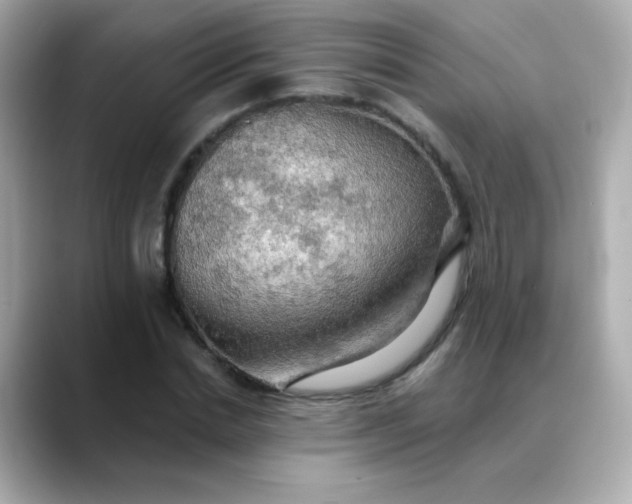 X0000088390830200706051116