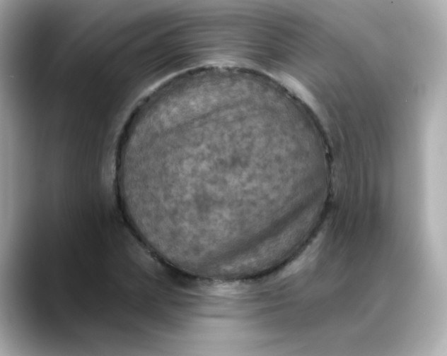 X0000088390831200706051116