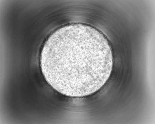 X0000088390832200706051116