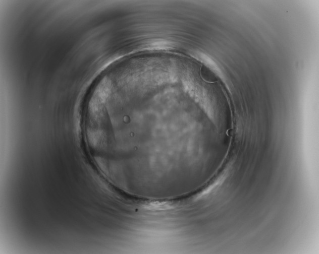 X0000088390835200706051116