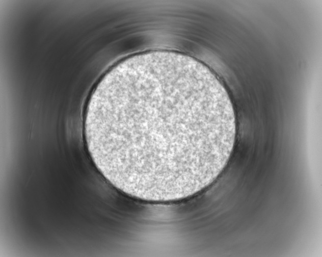 X0000088390836200706051116