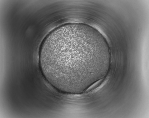 X0000088390837200706051116