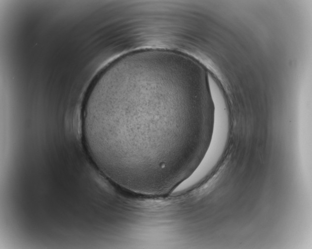 X0000088390838200706051116