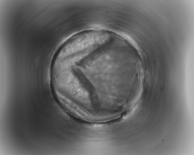 X0000088390839200706051116