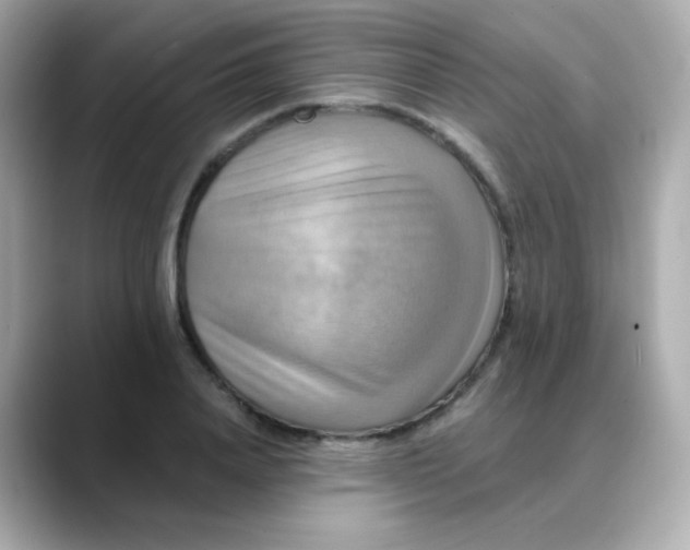 X0000088390840200706051116