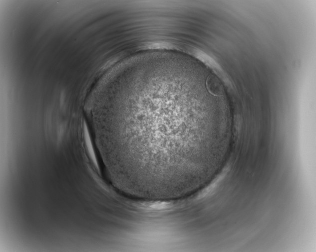 X0000088390841200706051116