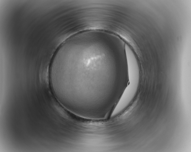 X0000088390842200706051116