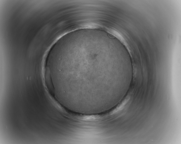 X0000088390843200706051116