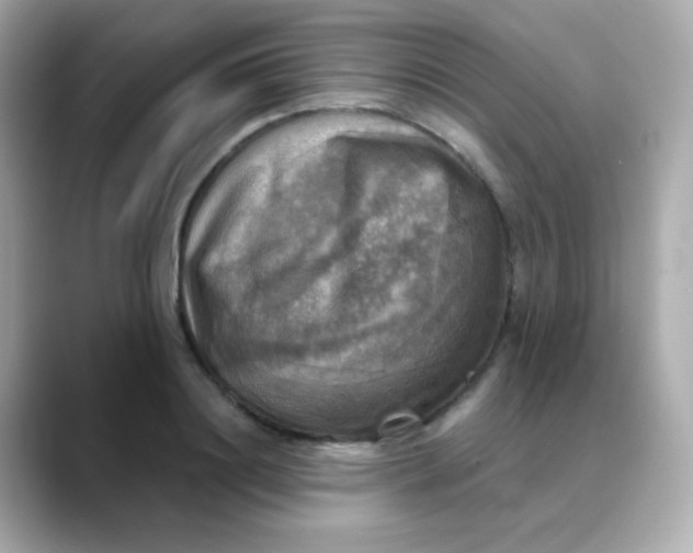 X0000088390844200706051116