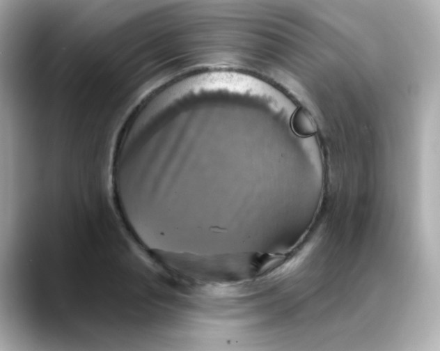 X0000088390845200706051116