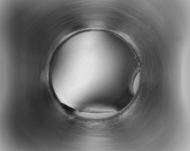 X0000088390846200706051116