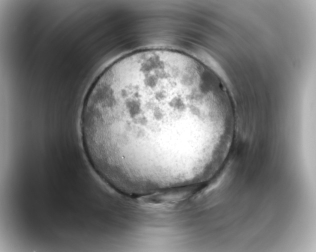 X0000088390847200706051116