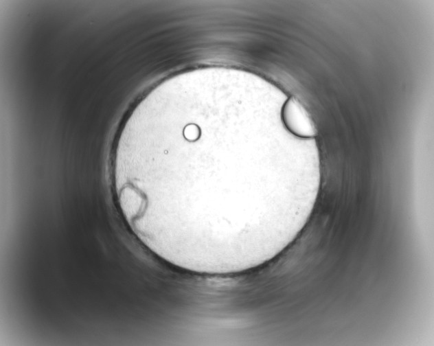 X0000088390848200706051116