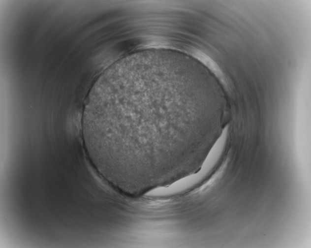 X0000088390849200706051116