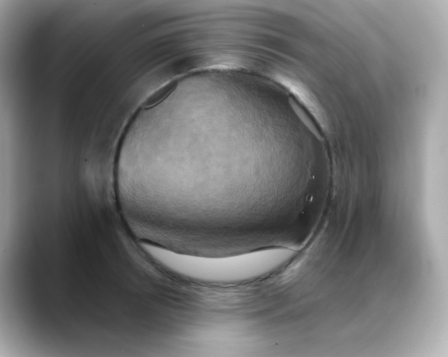 X0000088390850200706051116