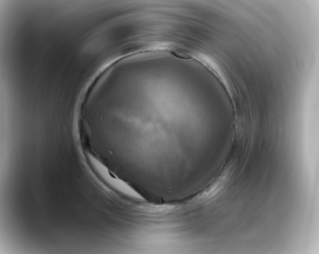 X0000088390851200706051116