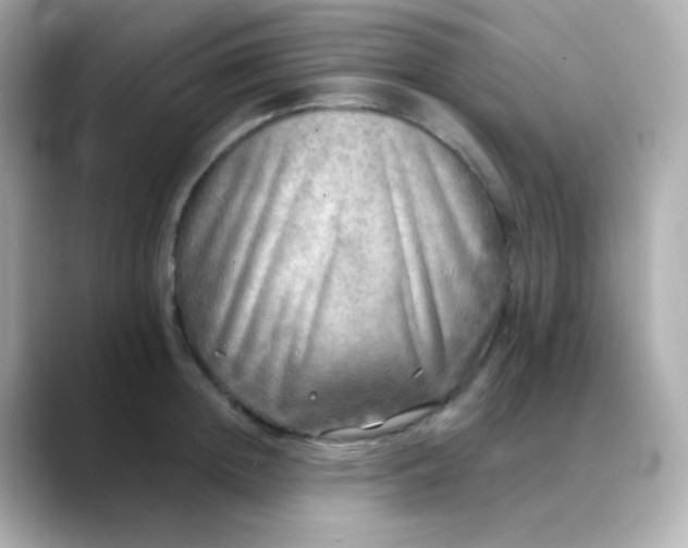 X0000088390852200706051116