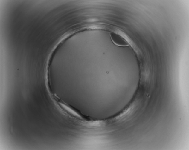 X0000088390853200706051116