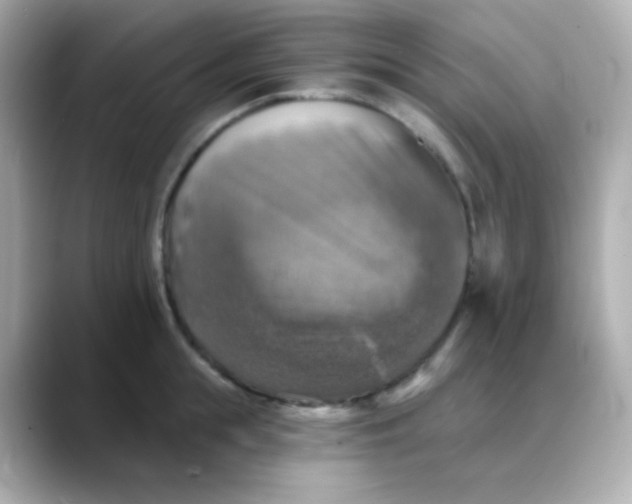 X0000088390855200706051116