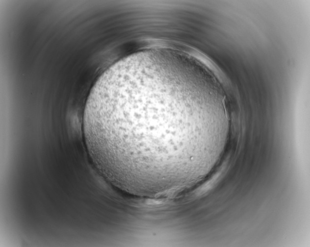 X0000088390857200706051116