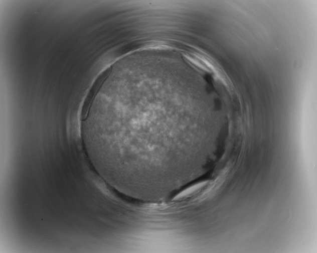 X0000088390858200706051116