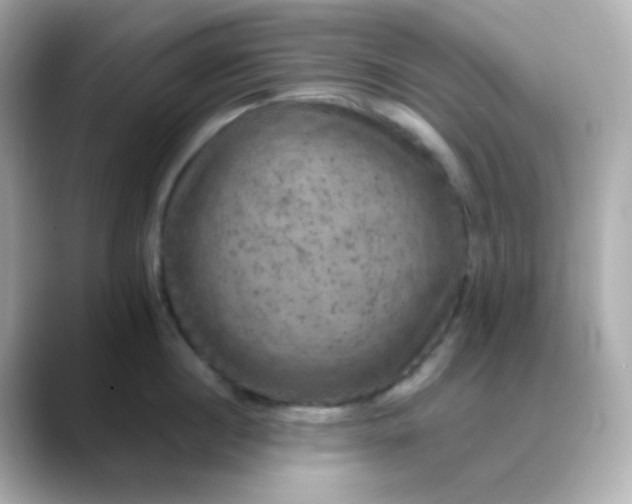 X0000088390860200706051116