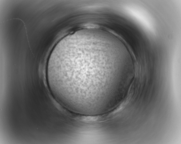 X0000088390861200706051116