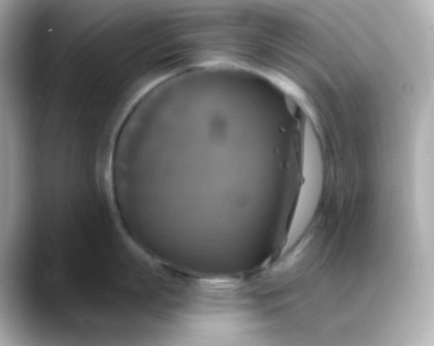 X0000088390863200706051116